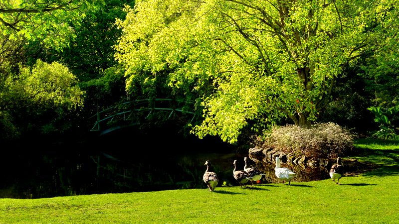 Tieve Tara (With Car Parking)