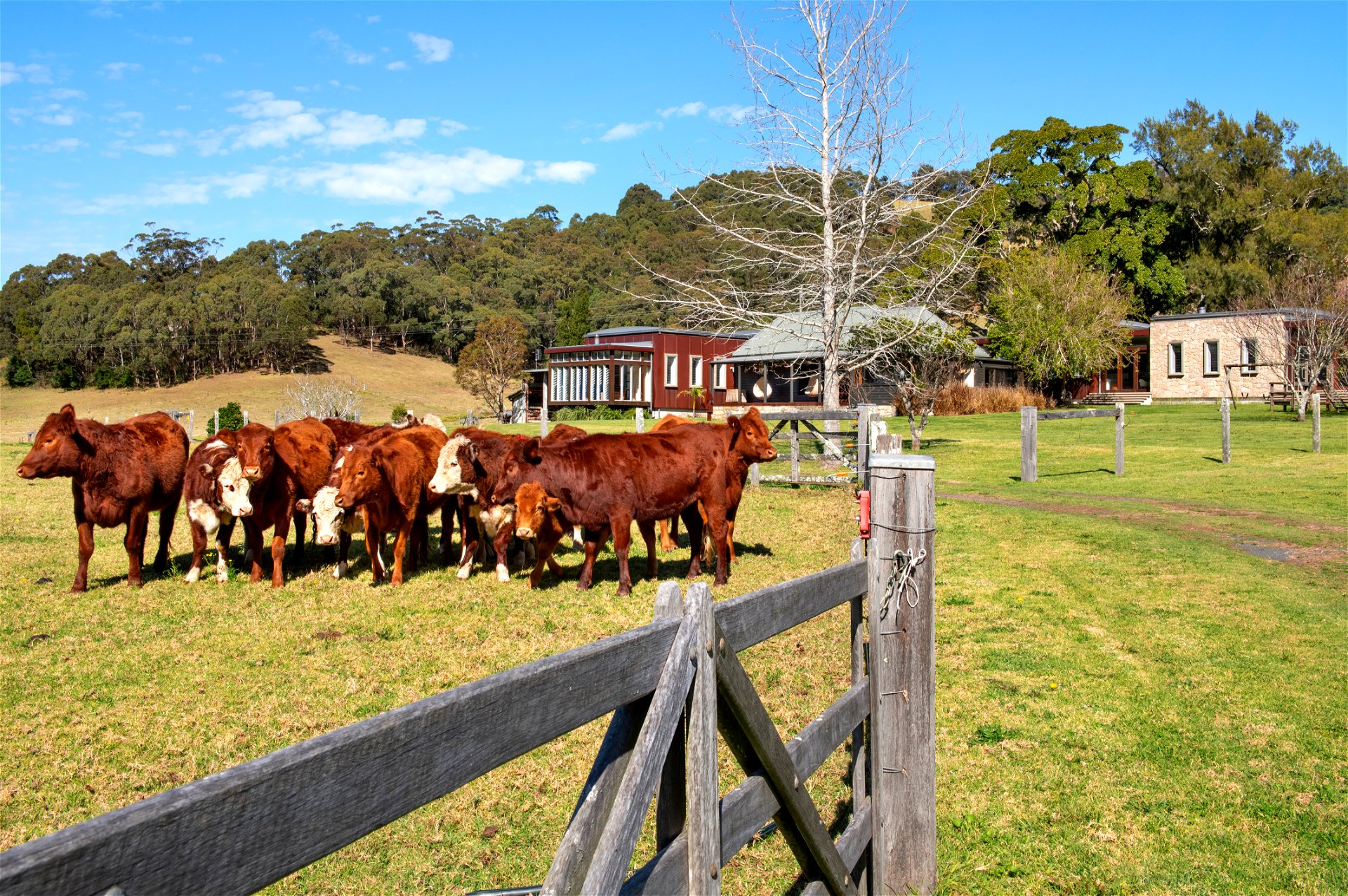 Lawndale - Charming Farm Stay