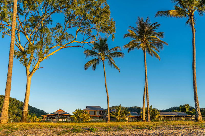 Celeste (Walk to Beach)