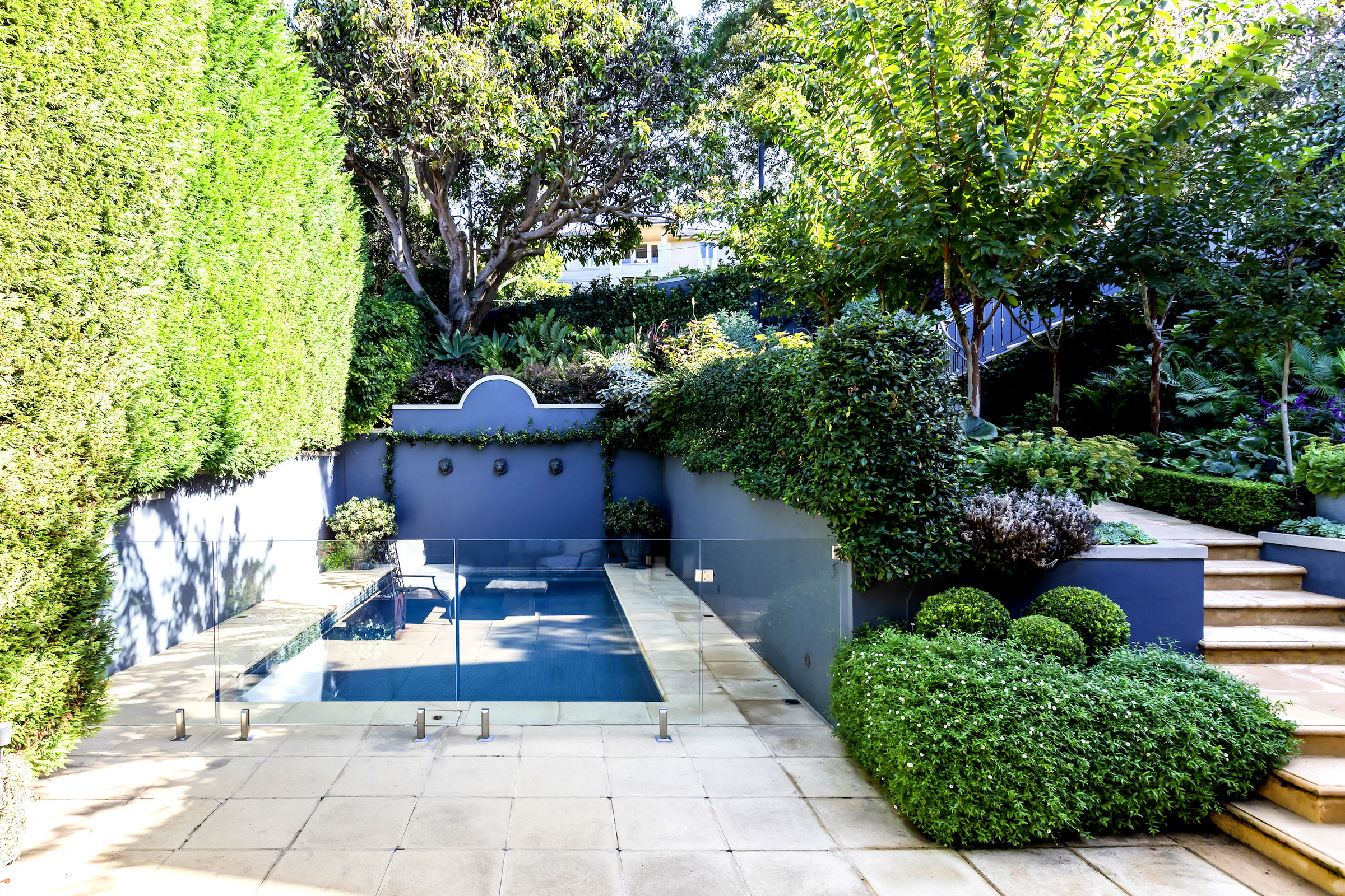 Boronia Bellevue