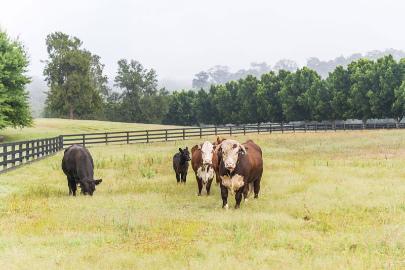 Sweven Estate (With Car Park)