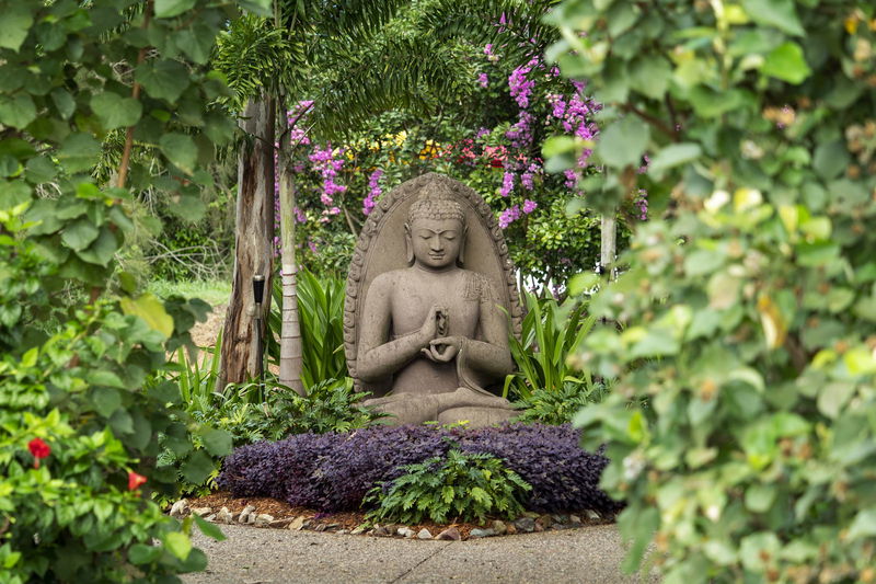 Makepeace Island (Ocean Views)