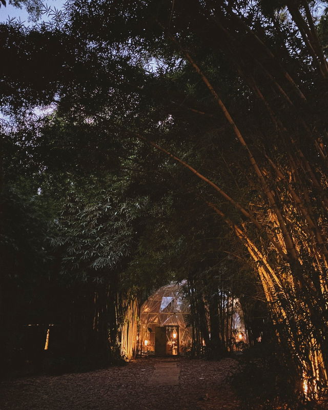 Soma Byron - contemporary hinterland oasis