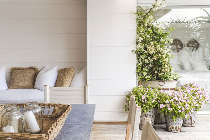 Wagstaffe Tropics (Walk to Beach)