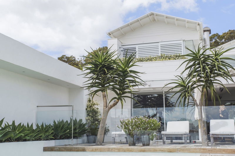 Wagstaffe Tropics (Walk to Beach)