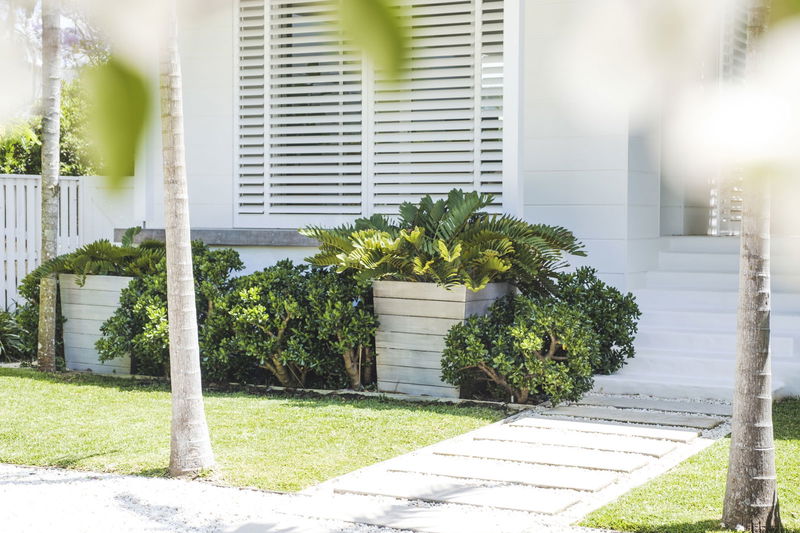 Wagstaffe Tropics (Walk to Beach)