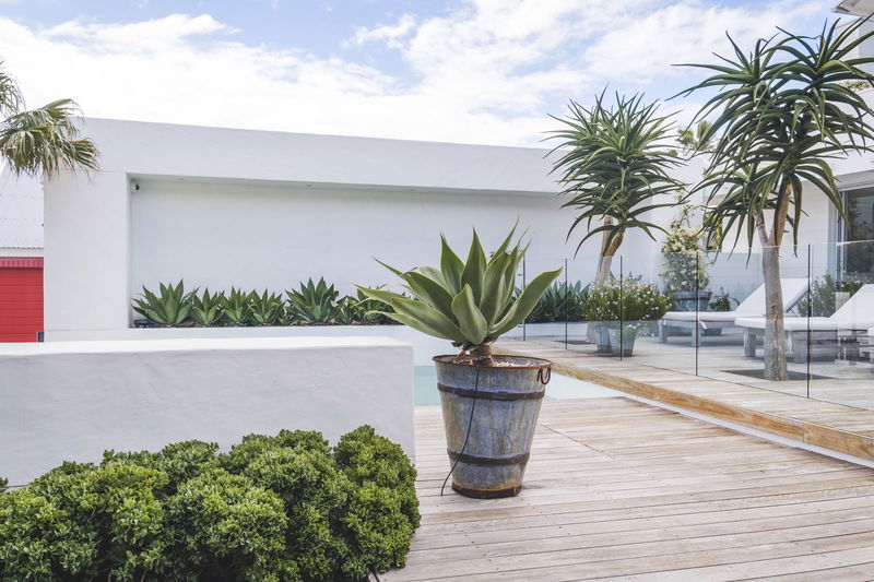 Wagstaffe Tropics (Walk to Beach)