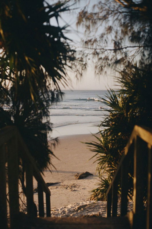 Damia (Pet Friendly)