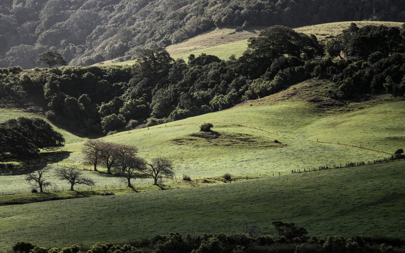 Dovecote (Ocean Views)