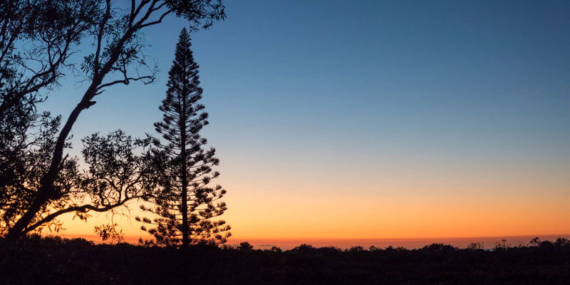 42 Byron (Walk to Beach)