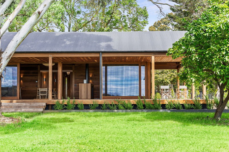 The Vines Main Ridge