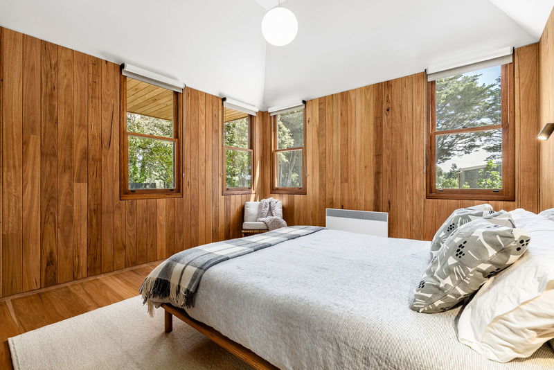 The Vines Main Ridge