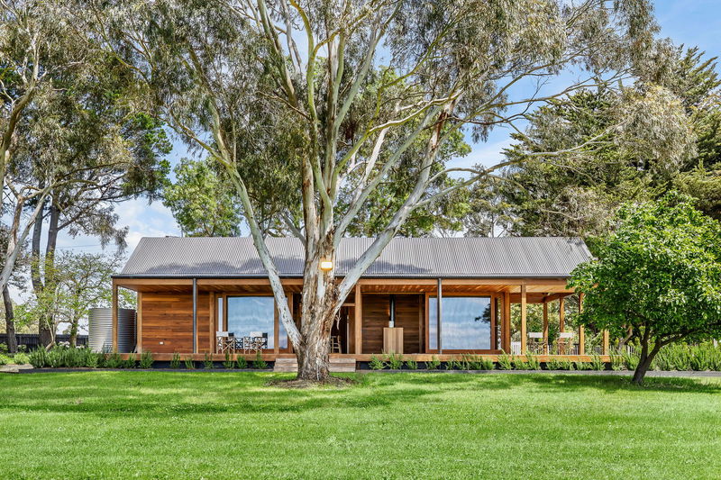 The Vines Main Ridge