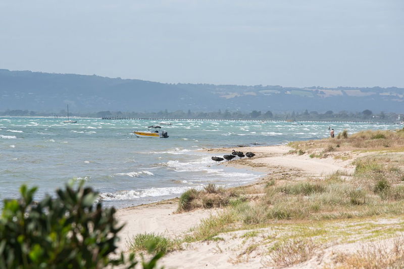 Salty Serenity (minutes away from Blairgowrie beach)