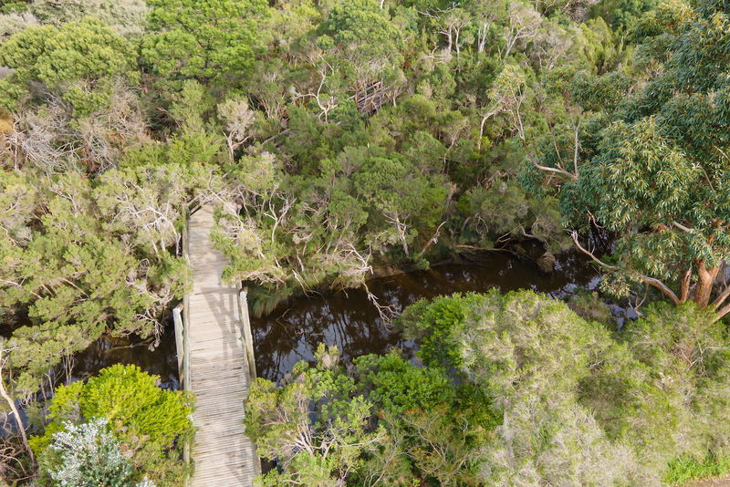 Seabreeze Haven (Walk to the beach)