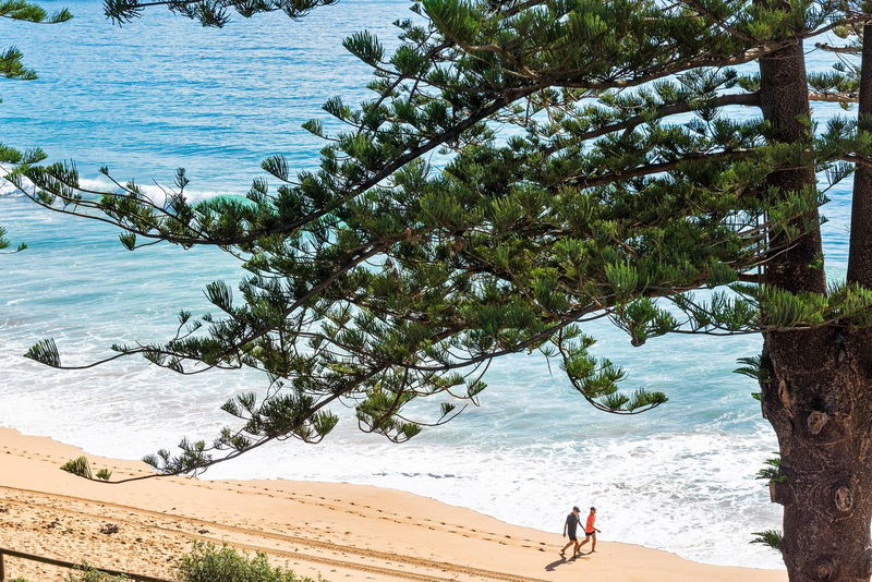 The Black Shack (Stunning ocean views)