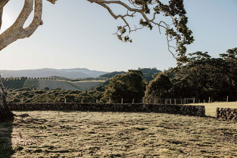 Amelika - luxury 25 acre estate with pool