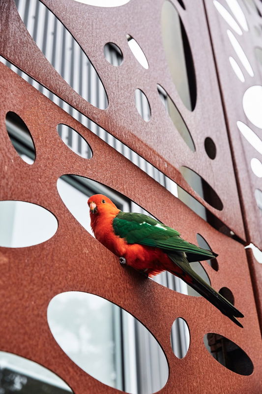 The Strand Great Ocean Road