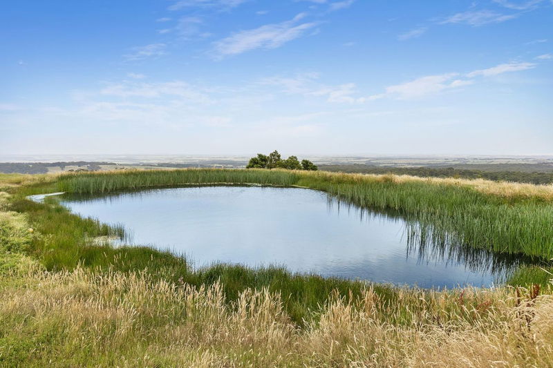 Saltbush Farm