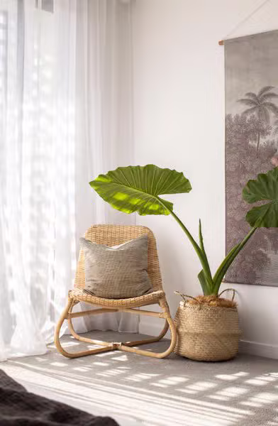 Boodera Palm Beach