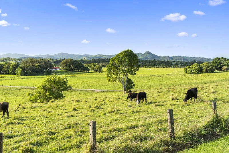 Wandarra - family hinterland home