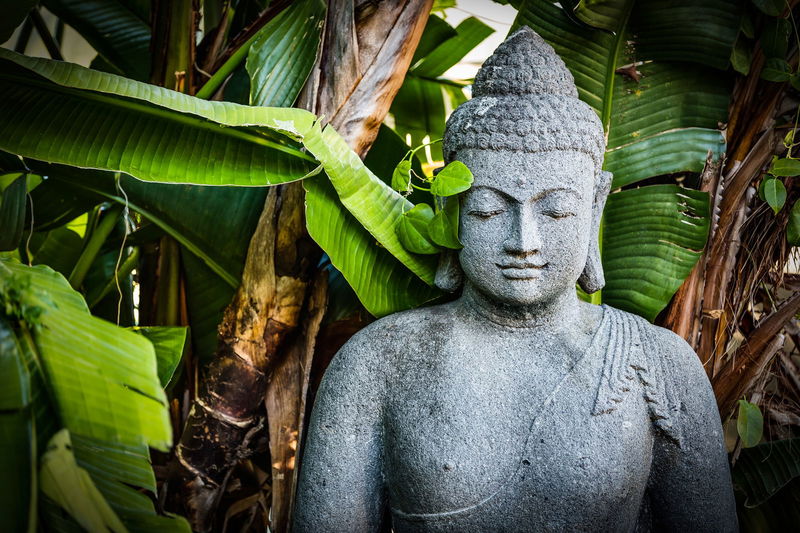 Aqua (With Car Parking)